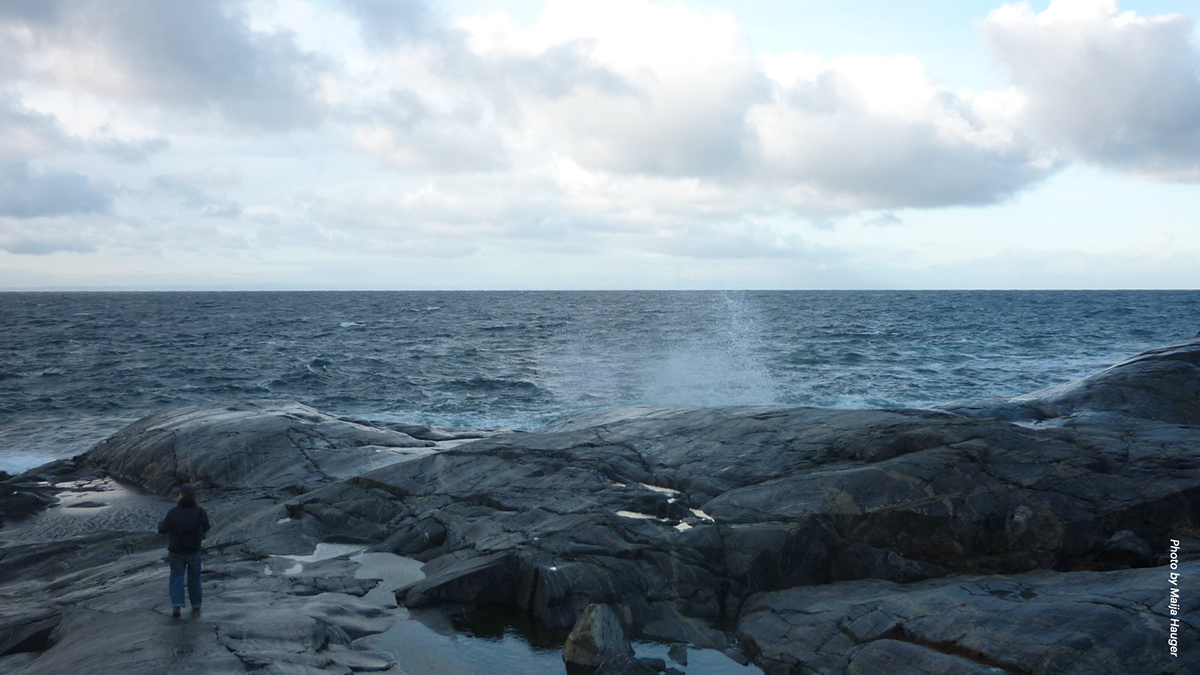 bilde fra turen til Sør-Varanger