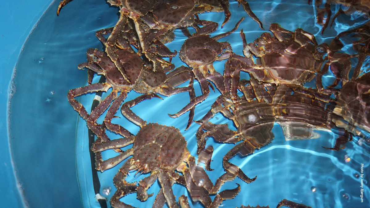 bilde fra turen til Sør-Varanger