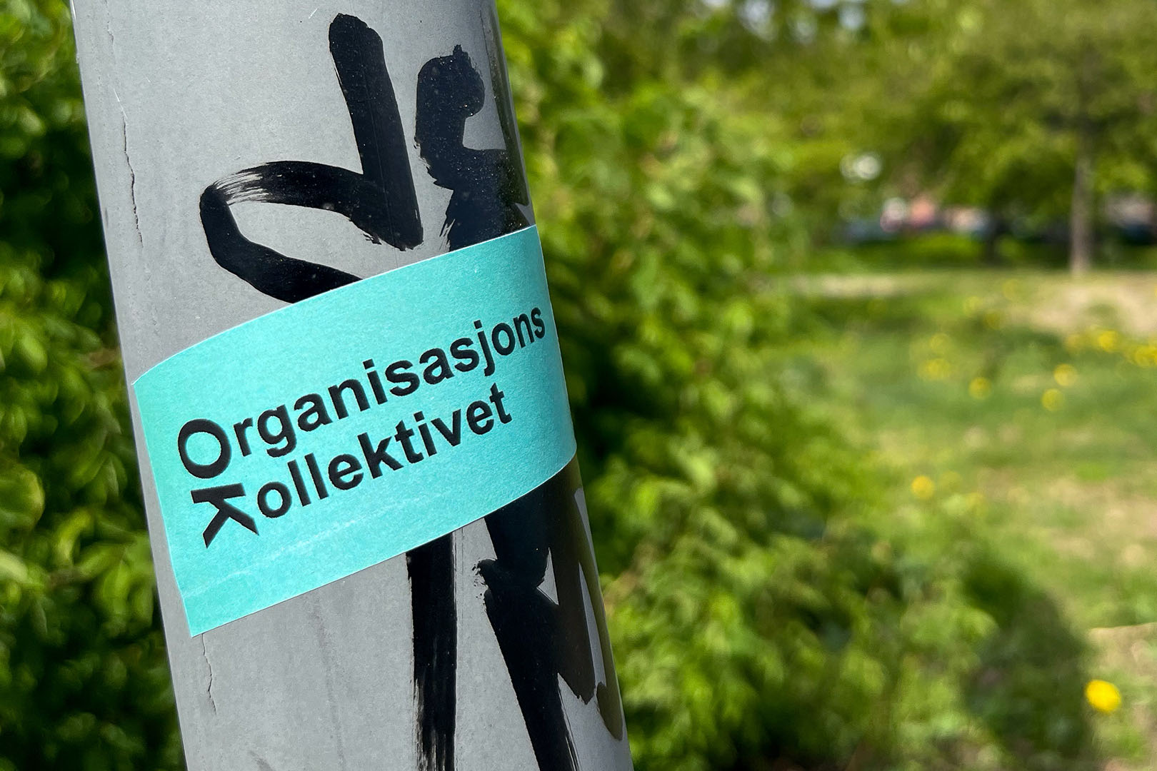 Organisasjonskollektivet